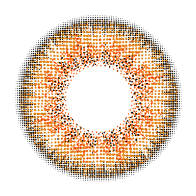 Rich Ann Shine Shine Brown