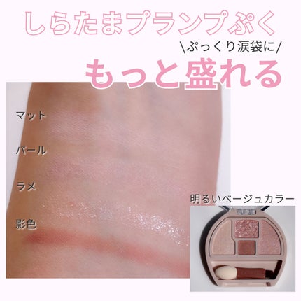 プランぷくコーデアイズ/キャンメイク/パウダーアイシャドウを使ったクチコミ(3枚目)