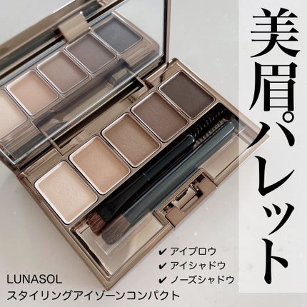 スタイリングアイゾーンコンパクト/LUNASOL/アイシャドウパレットを使ったクチコミ(1枚目)