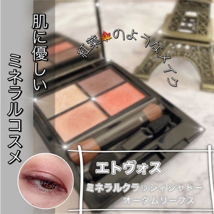 ミネラルクラッシィシャドー/エトヴォス/アイシャドウパレットを使ったクチコミ(1枚目)