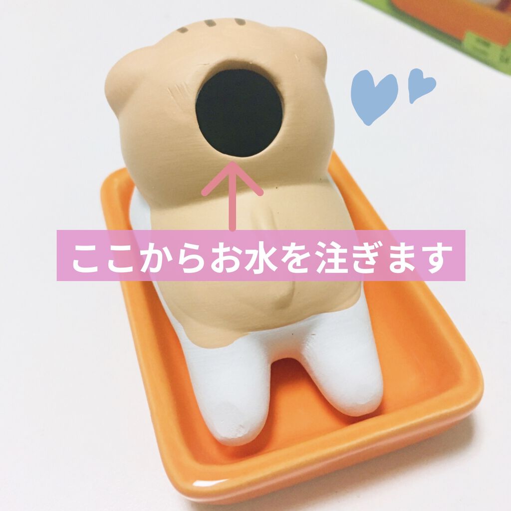加湿ポット/DAISO/その他を使ったクチコミ（2枚目）
