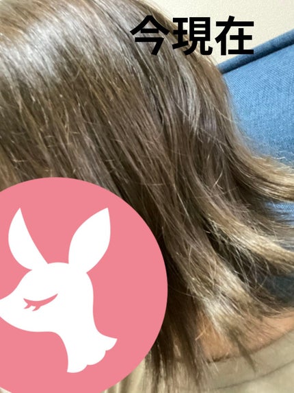 グッバイ イエロー カラーシャンプー/シュワルツコフ プロフェッショナル/市販シャンプーを使ったクチコミ(3枚目)