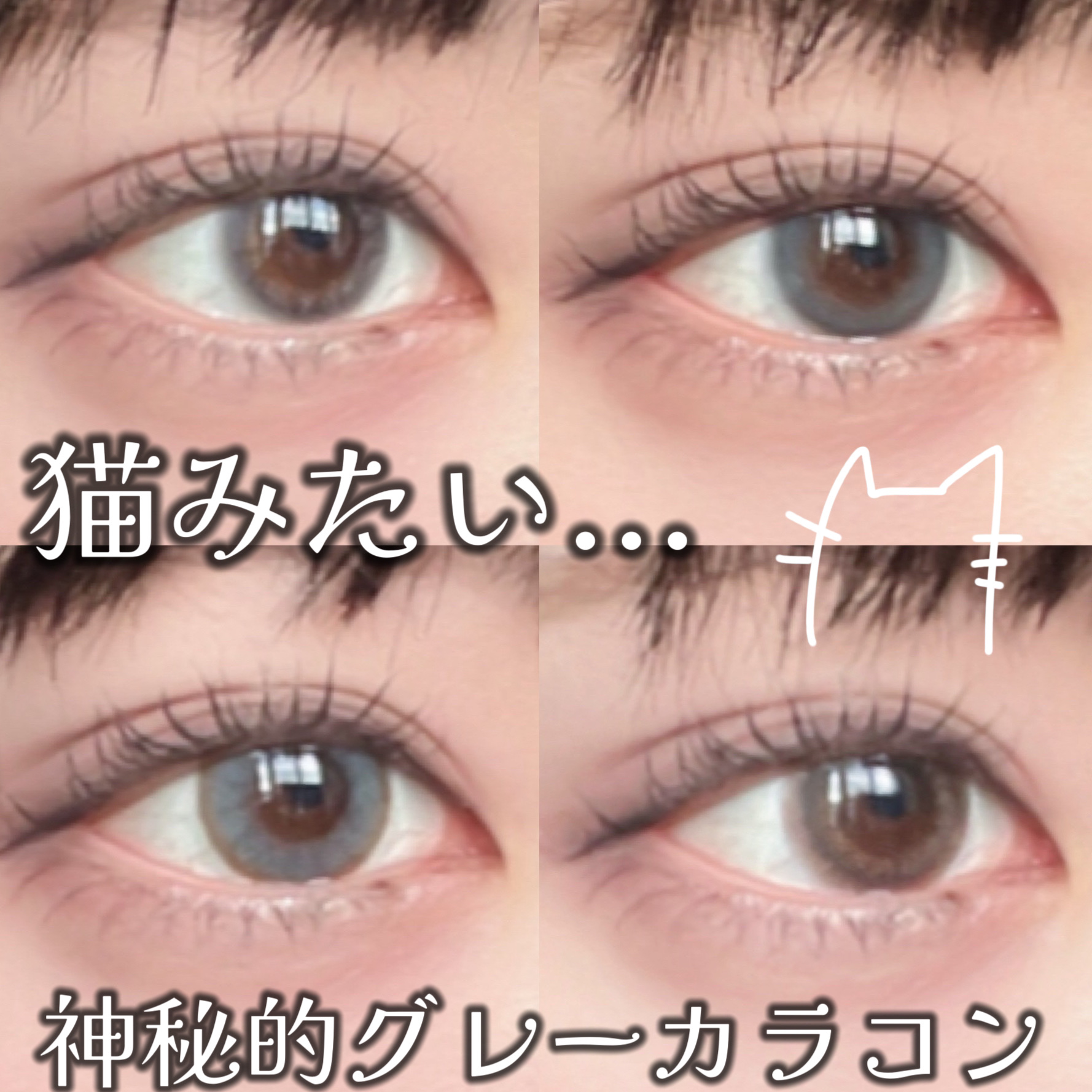 Victoria(ヴィクトリア）1day Dusty Gray/Victoria/ワンデー（１DAY）カラコンを使ったクチコミ（1枚目）