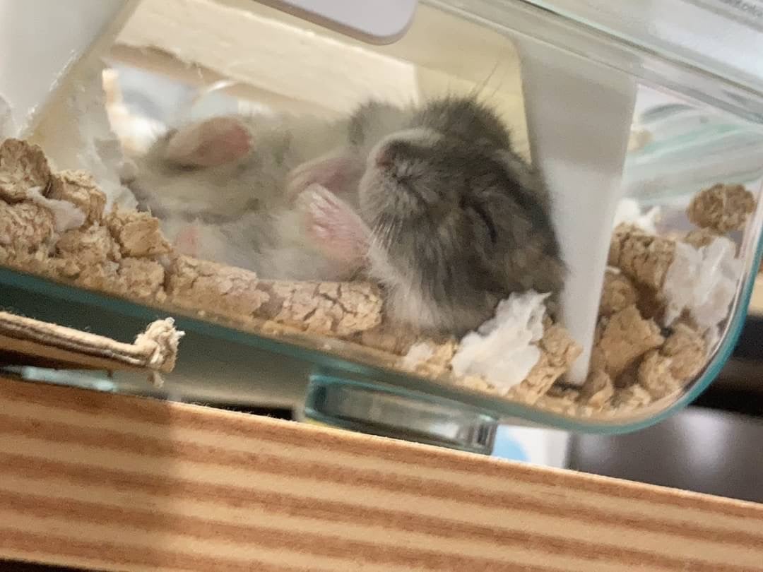 アロマオイル/グローバル プロダクト プランニング/アロマオイルを使ったクチコミ(6枚目)