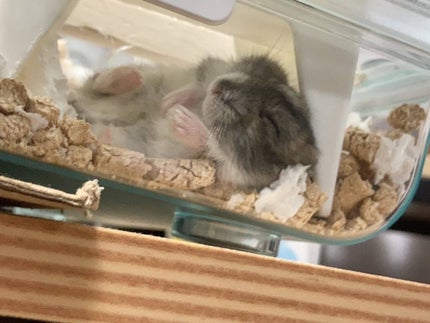 アロマオイル/グローバル プロダクト プランニング/アロマオイルを使ったクチコミ(6枚目)