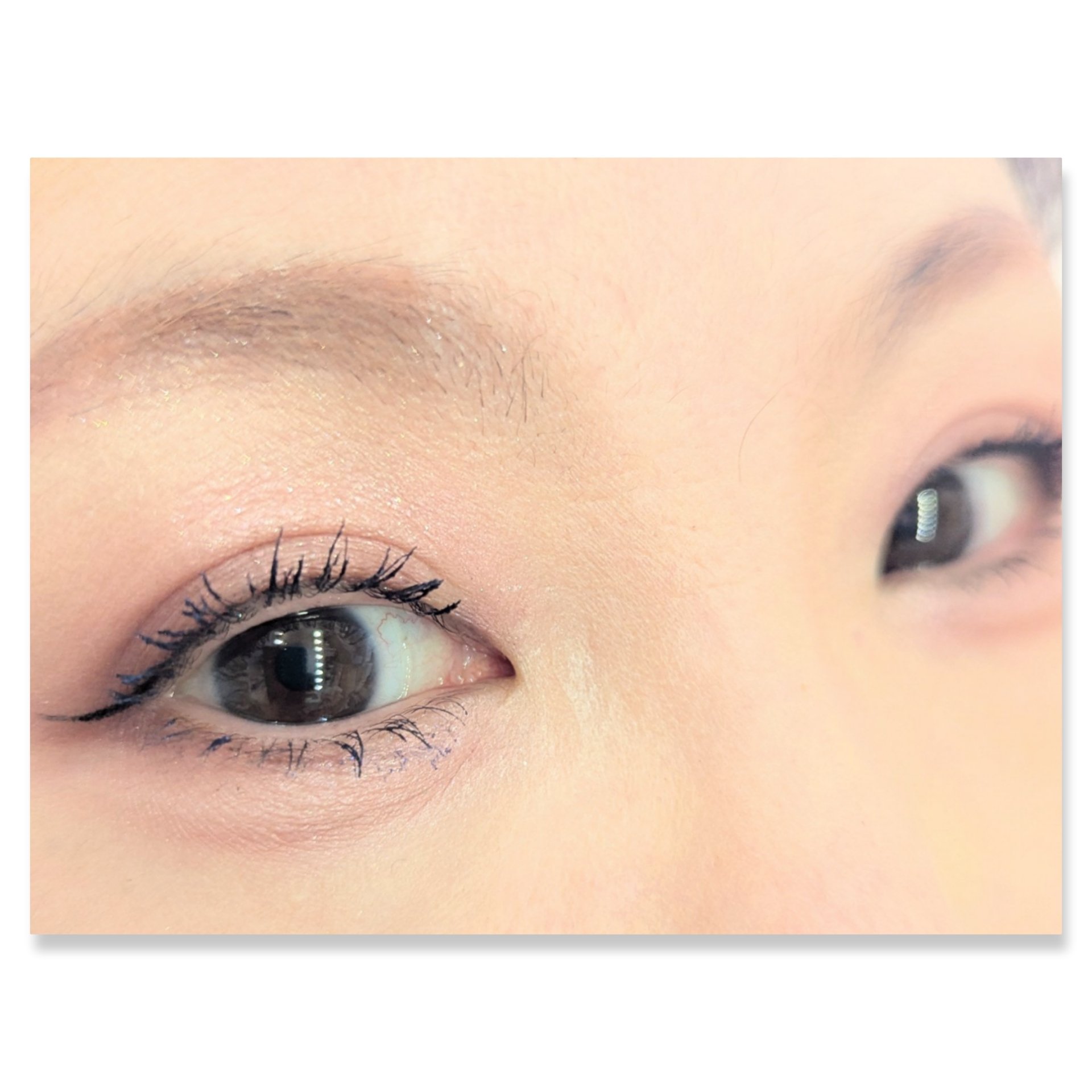 シルキースフレアイズ/キャンメイク/アイシャドウパレットを使ったクチコミ（2枚目）