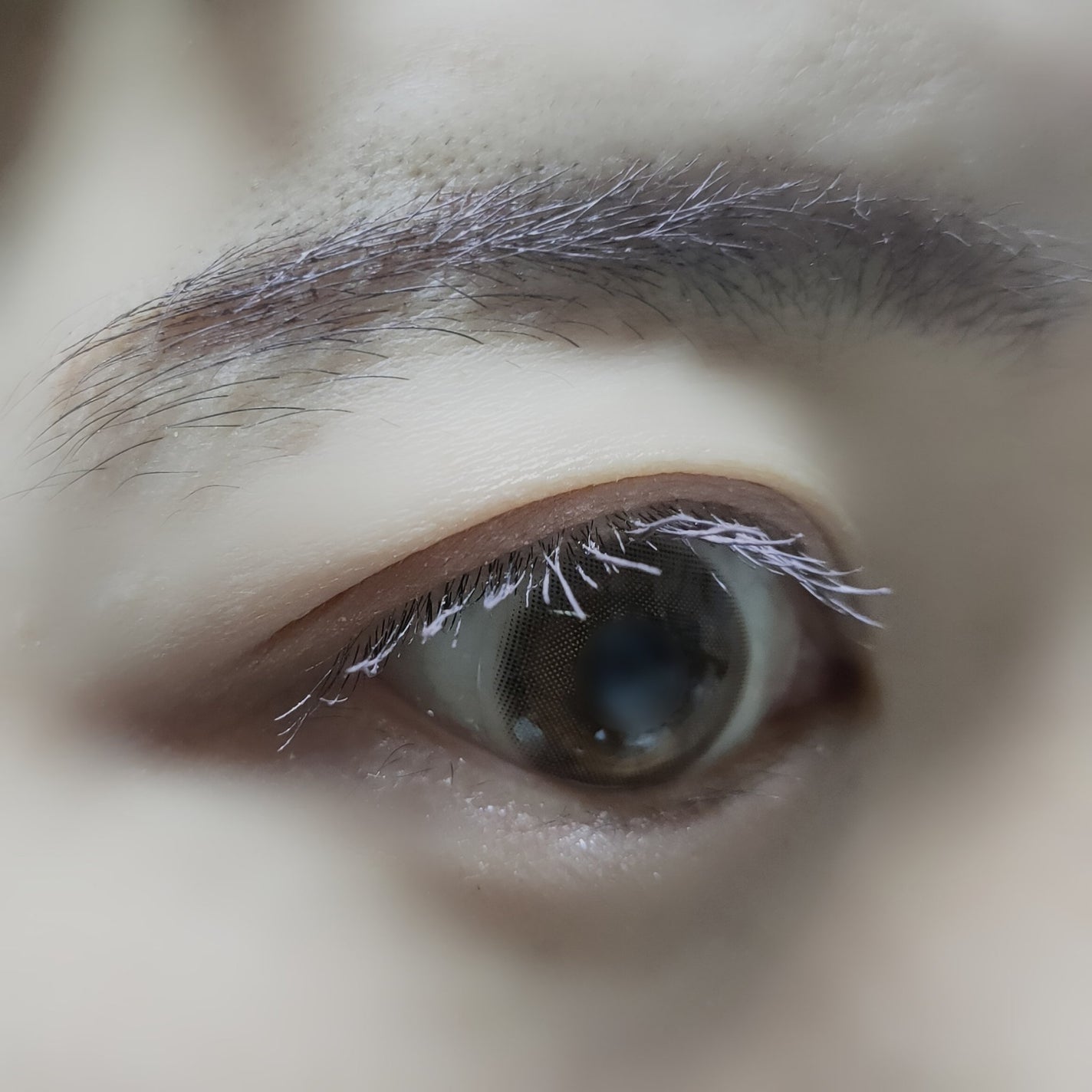 プティパレットアイズ/キャンメイク/パウダーアイシャドウを使ったクチコミ(4枚目)