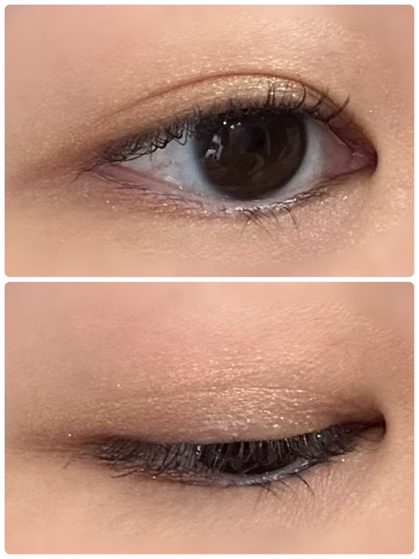 スキンモデリングアイズ/LUNASOL/アイシャドウパレットを使ったクチコミ(3枚目)