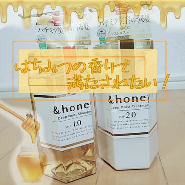 ディープモイスト シャンプー1.0／ヘアトリートメント2.0/&honey/シャンプー・コンディショナーを使ったクチコミ（1枚目）