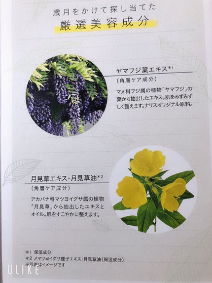 リニュー プライム ミルク Ⅱ/ナリスアップ/乳液を使ったクチコミ(6枚目)