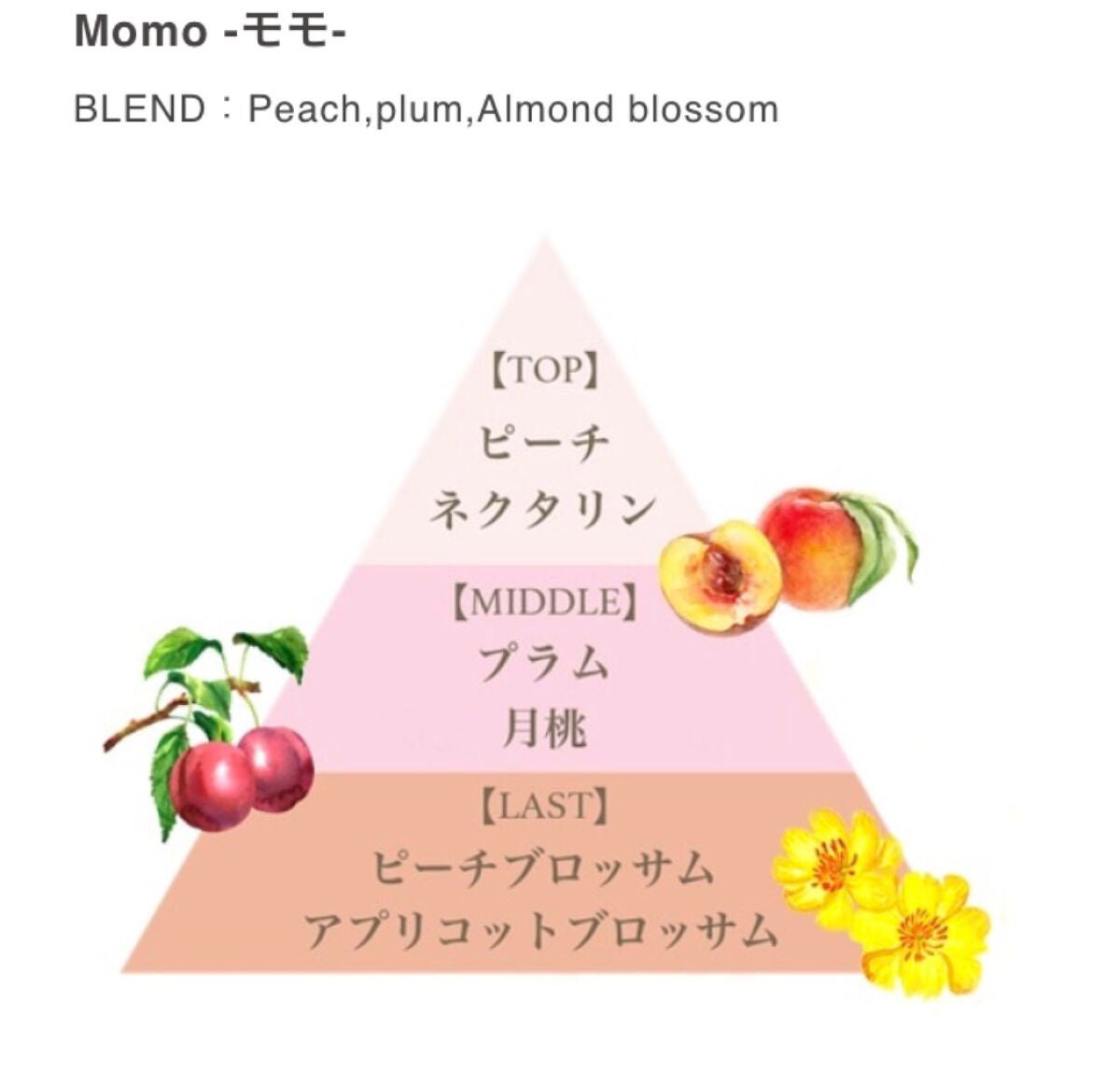 フレグランスシュガースクラブグランデ(モモ)/フェルナンダ/ボディスクラブを使ったクチコミ(2枚目)