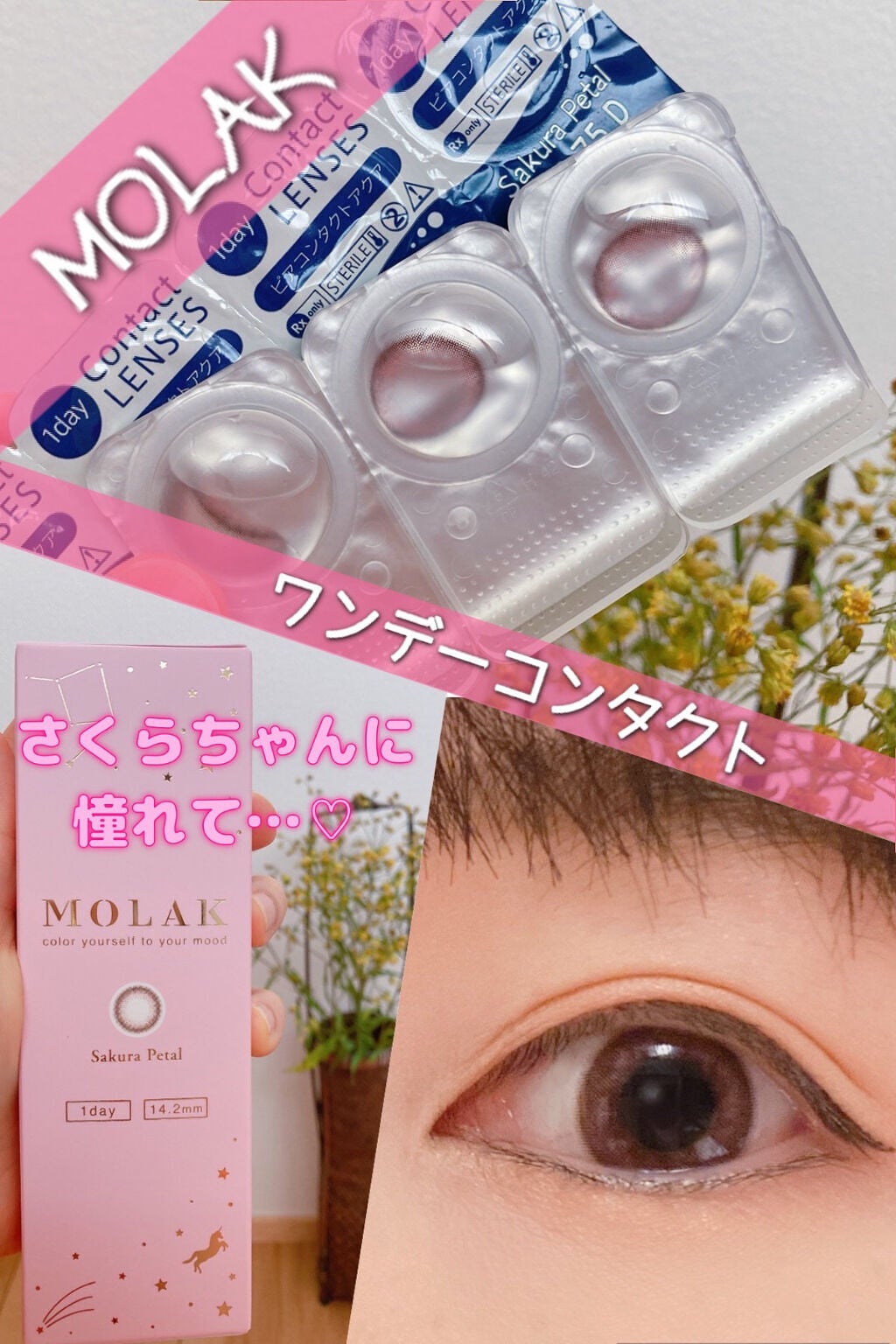 MOLAK 1day/MOLAK/ワンデー(1DAY)カラコンを使ったクチコミ(1枚目)