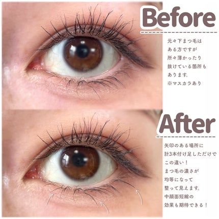 アイラッシュ パーフェクトグルー/ビューティーネイラー/その他化粧小物を使ったクチコミ(5枚目)