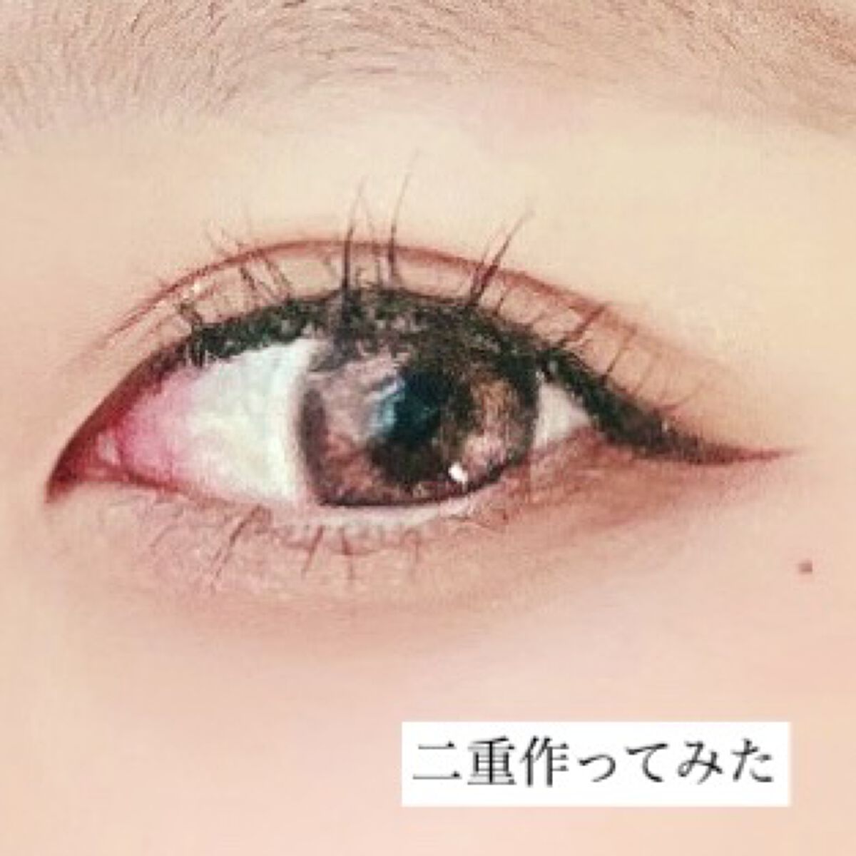 フリーファイバー120 スタンダードタイプ /メザイク/二重まぶた用アイテムを使ったクチコミ（1枚目）