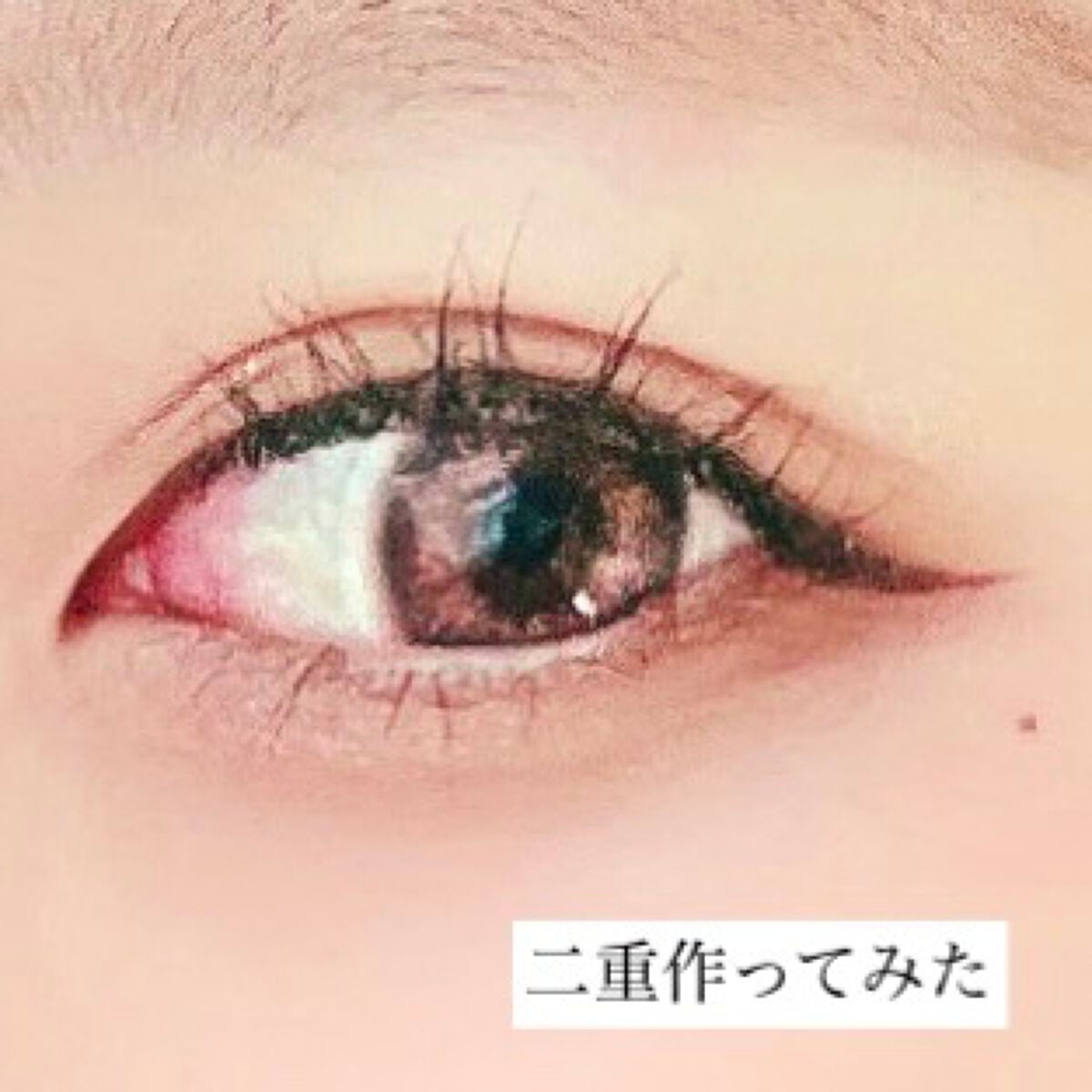 フリーファイバー120 スタンダードタイプ /メザイク/二重まぶた用アイテムを使ったクチコミ(1枚目)