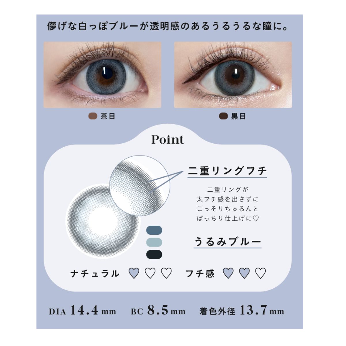 Angelcolor Bambi Series 1day  スワンブルー