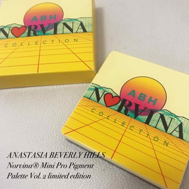 アナスタシア ビバリーヒルズ Mini Pro Pigment Palette Vol. 2 limited editionのクチコミ「\派手マニア/
ANASTASIA BEVERLY HILLS Norvina® Mini P.....」（1枚目）