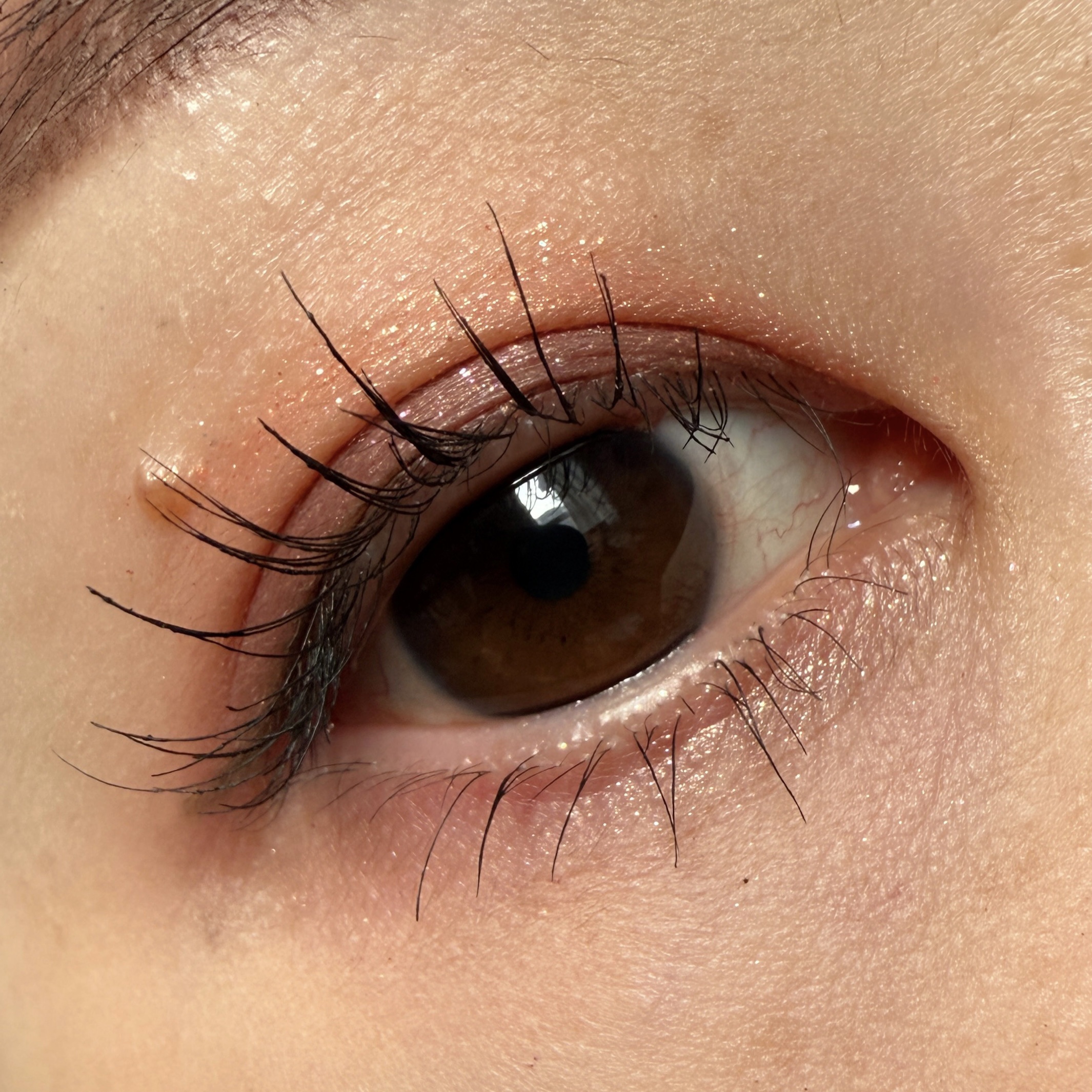 オンブル ドゥ エルメス パレット クワテュール 06 オンブル・モルドレ/エルメス/アイシャドウパレットを使ったクチコミ（2枚目）