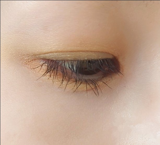 フォートーンズスタイリングアイズ サンガーデン/オルビス/パウダーアイブロウを使ったクチコミ（3枚目）