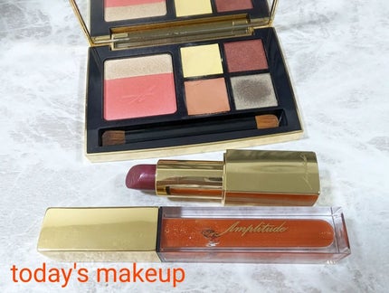 コンスピキュアス アイ&チークカラーパレット リミテッドコレクション a/Amplitude/アイシャドウパレットを使ったクチコミ(1枚目)