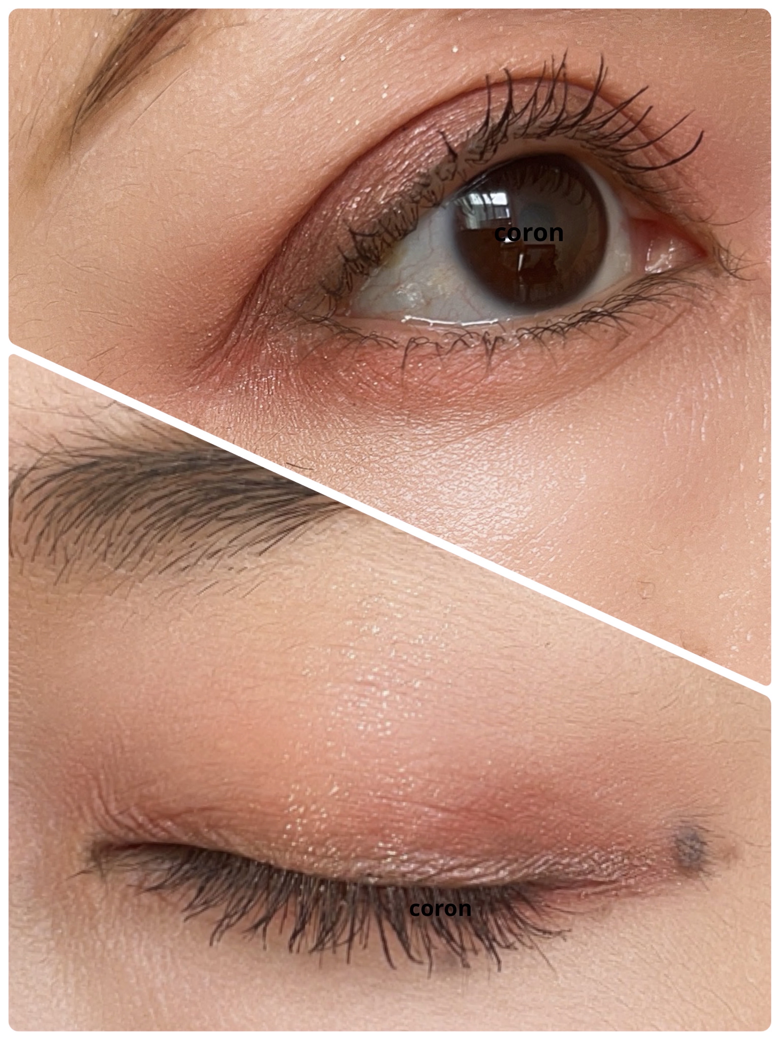 グリッターレイヤリングアイシャドウパレット/TWINKLE POP/アイシャドウパレットを使ったクチコミ（2枚目）