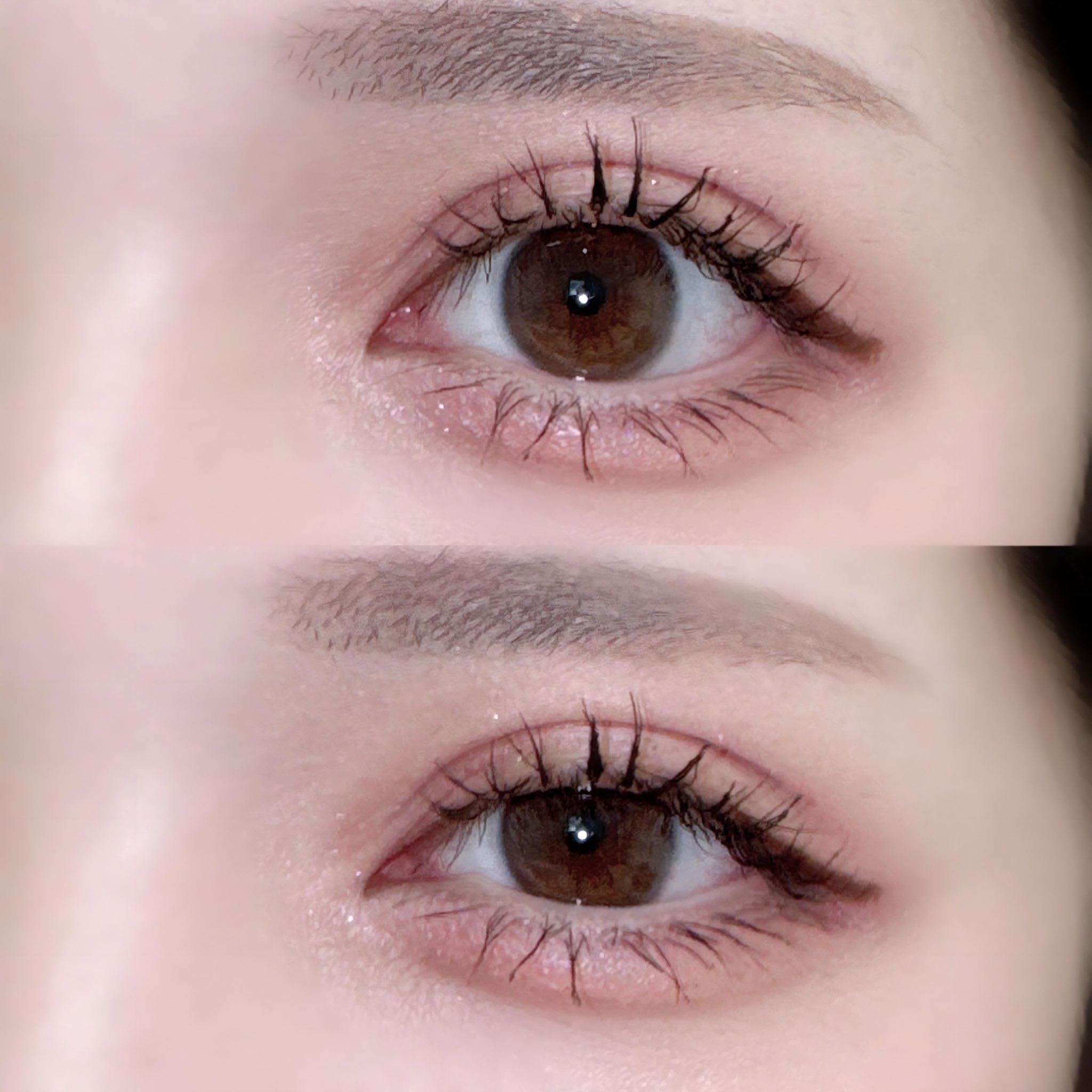 エテュセ アイエディション(カラーパレット)/ettusais/アイシャドウパレットを使ったクチコミ（1枚目）