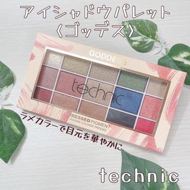 15 アイシャドウパレット/technic/アイシャドウパレットを使ったクチコミ（1枚目）