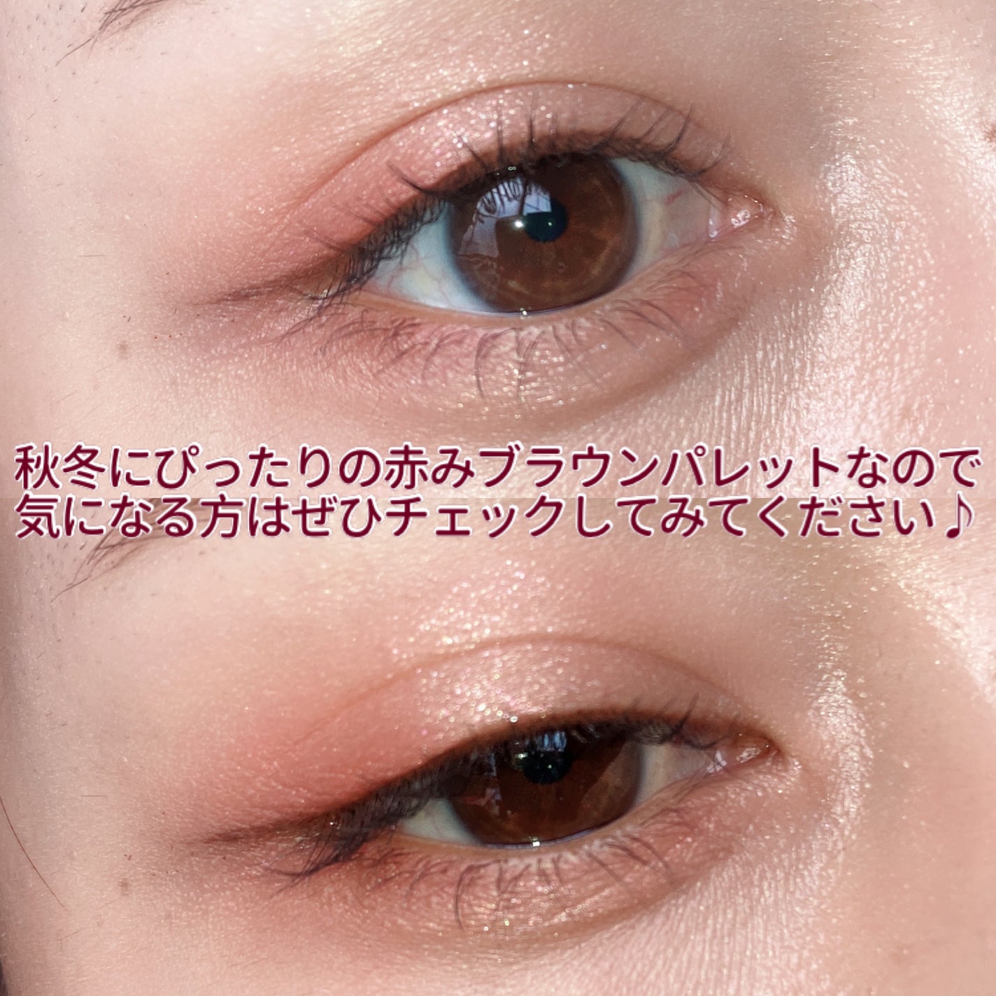 シルキースフレアイズ(マットタイプ)/キャンメイク/アイシャドウパレットを使ったクチコミ(6枚目)
