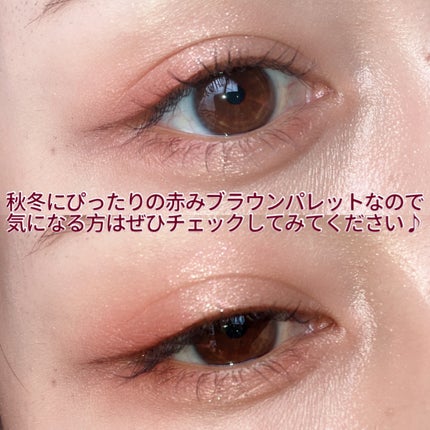 シルキースフレアイズ(マットタイプ)/キャンメイク/アイシャドウパレットを使ったクチコミ(6枚目)