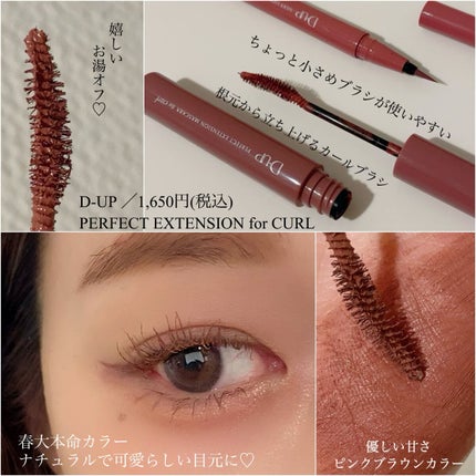 シルキーリキッドアイライナーWP/D-UP/リキッドアイライナーを使ったクチコミ(2枚目)