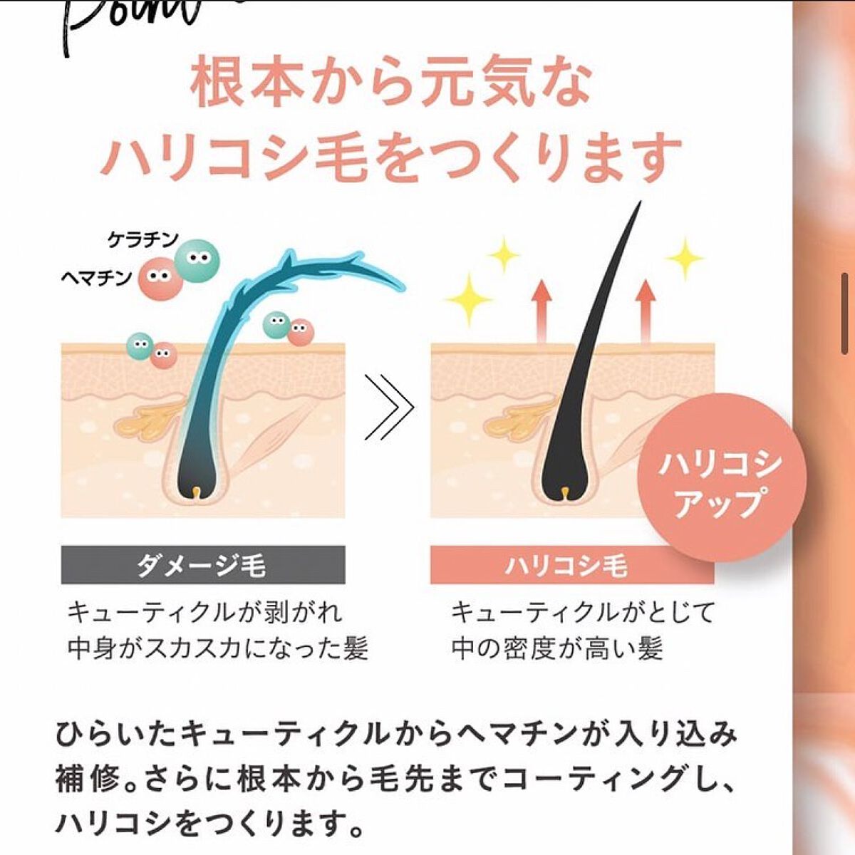 ちゃんぶぅ 投稿ある方フォロバ💕あんまり開かないから遅いよ on LIPS 「いつものシャンプーのあとに、いつものトリートメントに混ぜるだけ..」(6枚目)