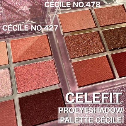 プロアイシャドウパレットセシル/CELEFIT/アイシャドウパレットを使ったクチコミ(1枚目)
