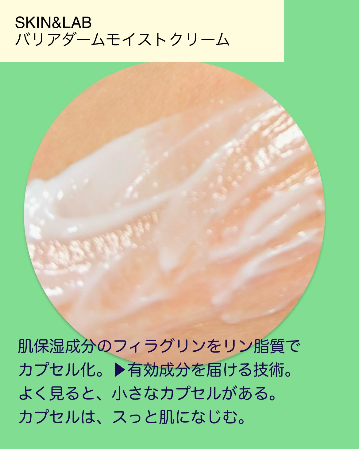 バリアダームモイストクリーム/SKIN&LAB/フェイスクリームを使ったクチコミ（2枚目）