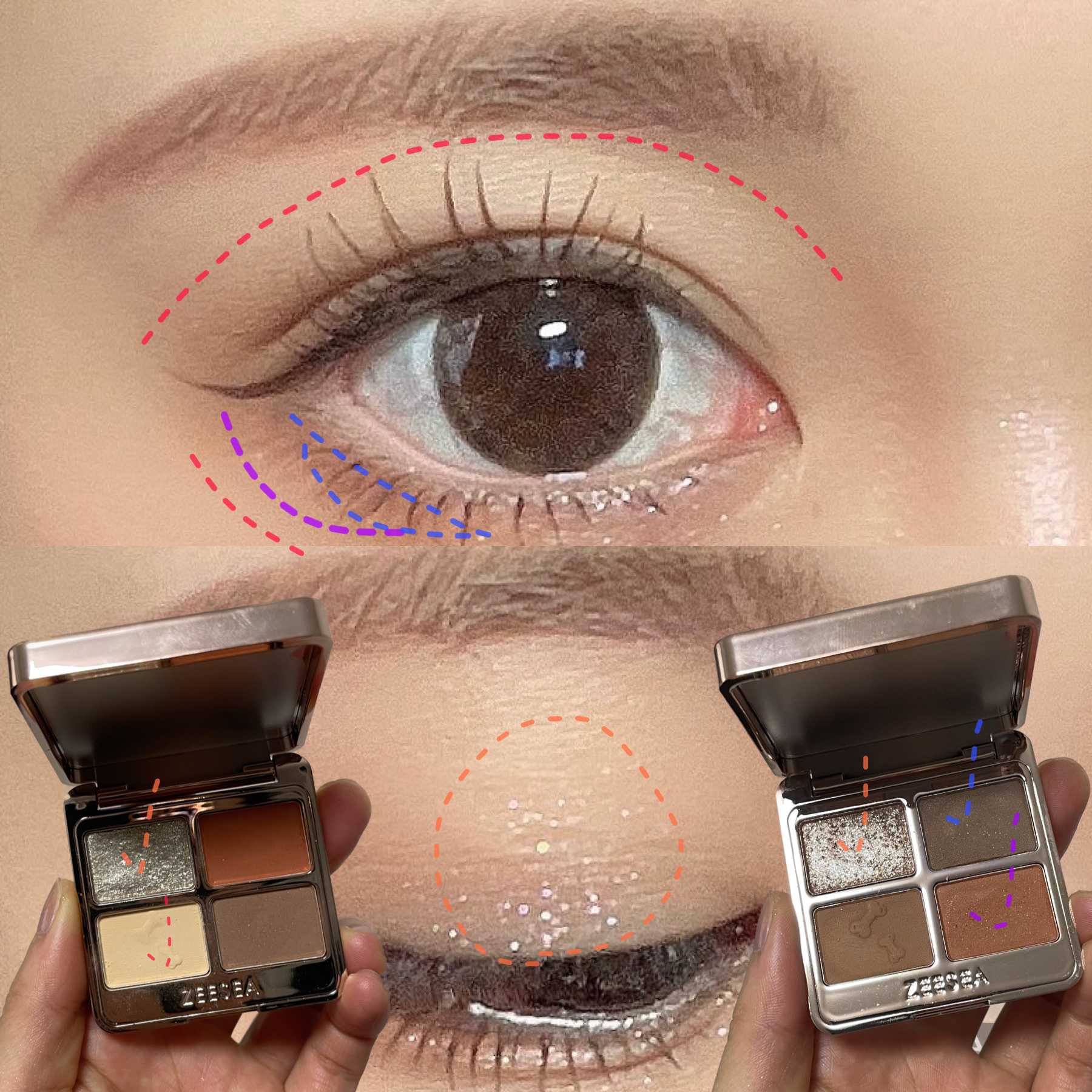 アニマルアイシャドウ(4シェード)/ZEESEA/アイシャドウパレットを使ったクチコミ（3枚目）