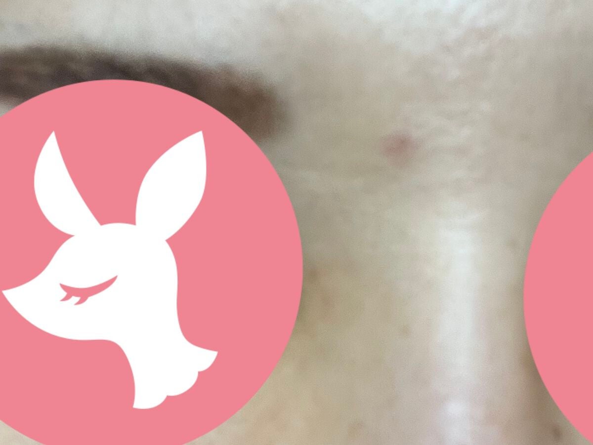 &be ファンシーラー/&be/パレットコンシーラーを使ったクチコミ(4枚目)