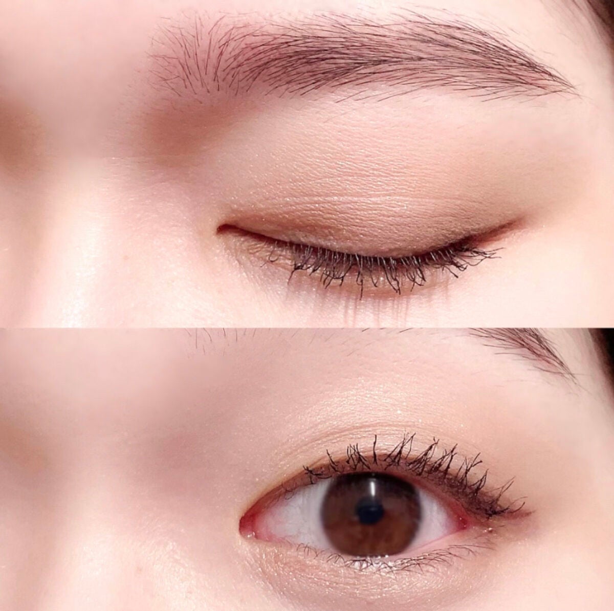 パーフェクトエクステンション マスカラ/D-UP/マスカラを使ったクチコミ(6枚目)