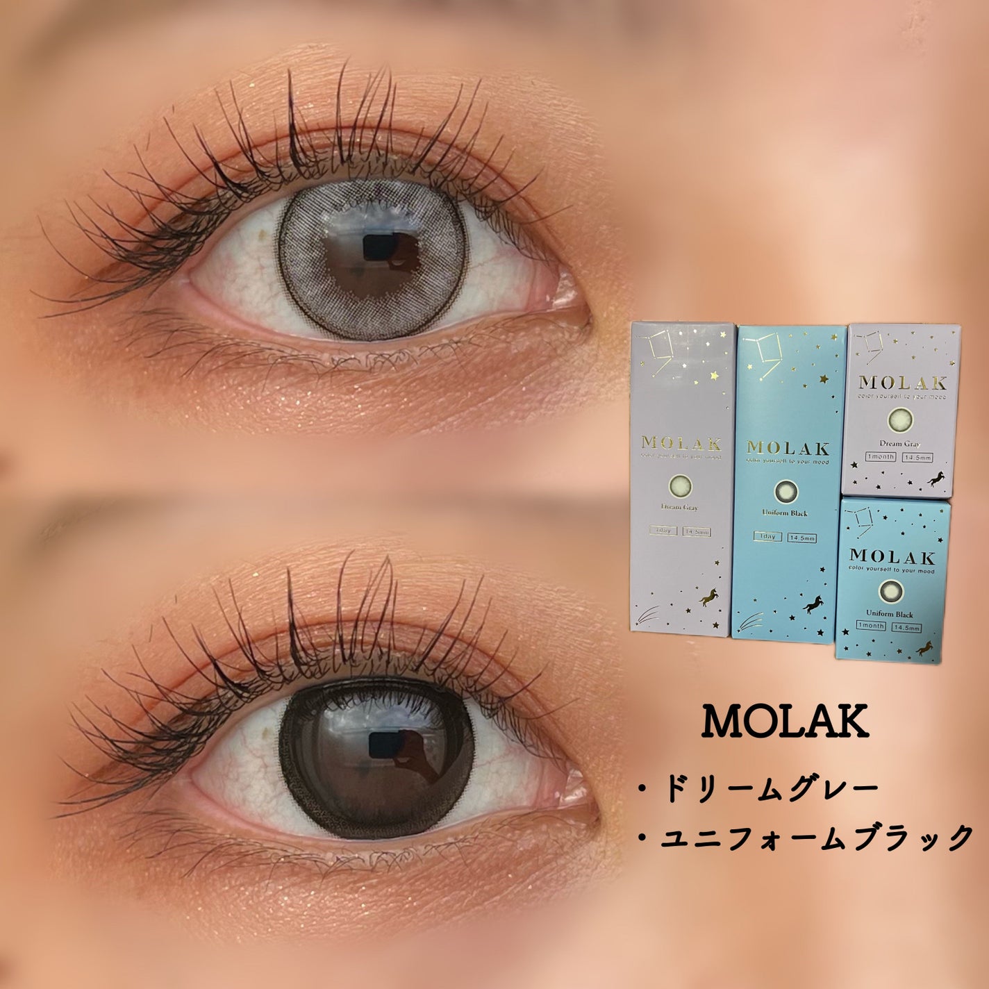 MOLAK 1day/MOLAK/ワンデー(1DAY)カラコンを使ったクチコミ(1枚目)