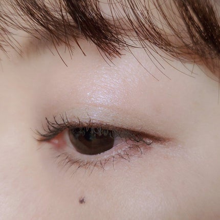 エッセンスイン アイシャドウ/DHC/リキッドアイシャドウを使ったクチコミ(3枚目)