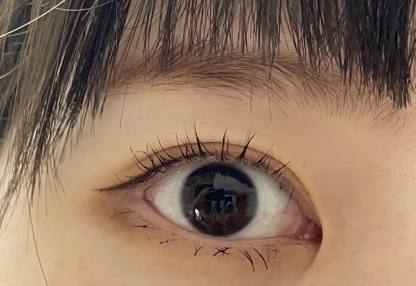 ダイブイン クリーム/Torriden/フェイスクリームを使ったクチコミ（1枚目）