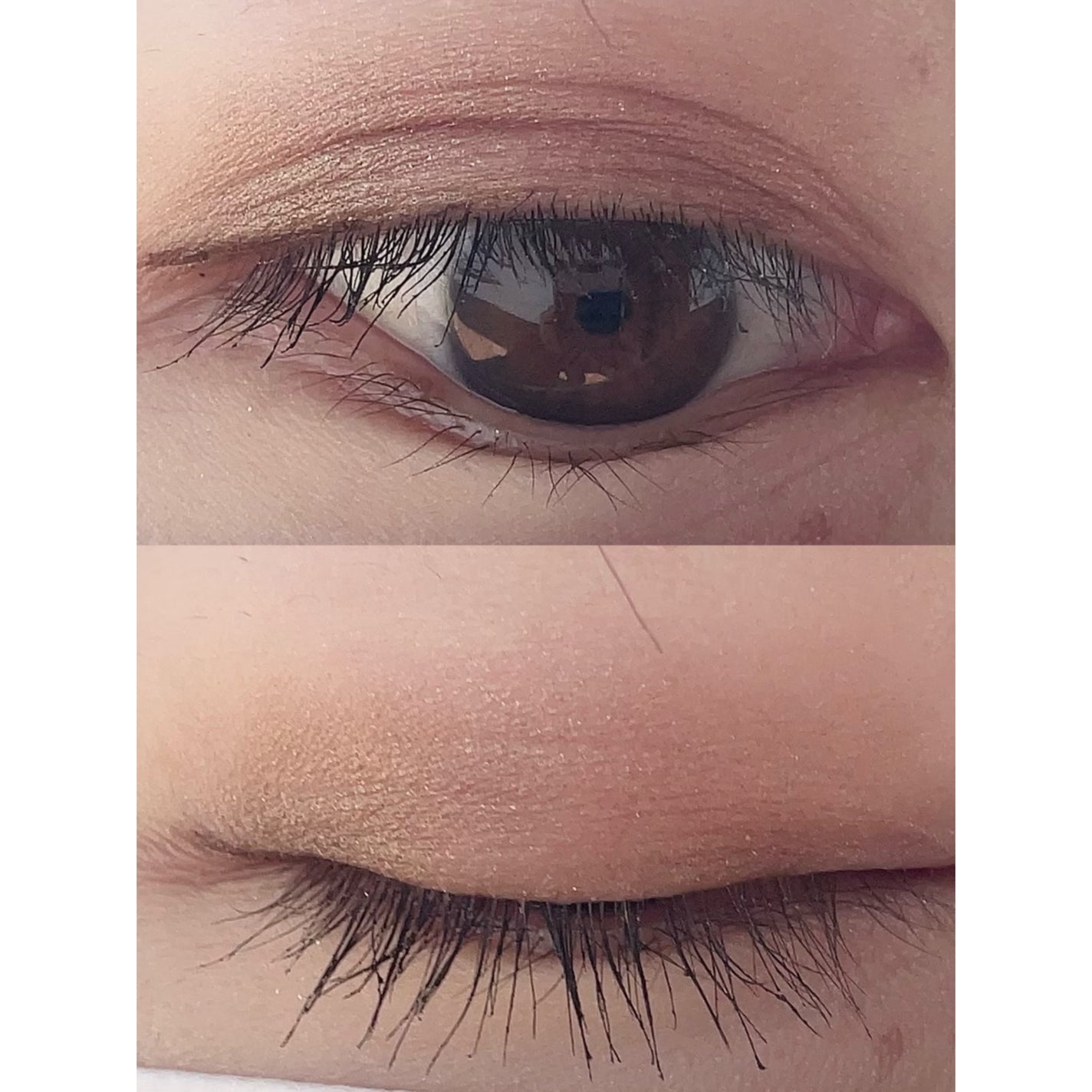 スキニーリッチシャドウ/excel/アイシャドウパレットを使ったクチコミ(2枚目)