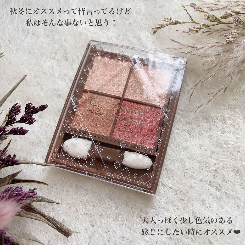 ニュアンスオンアイシャドウ/CEZANNE/アイシャドウパレットを使ったクチコミ(6枚目)