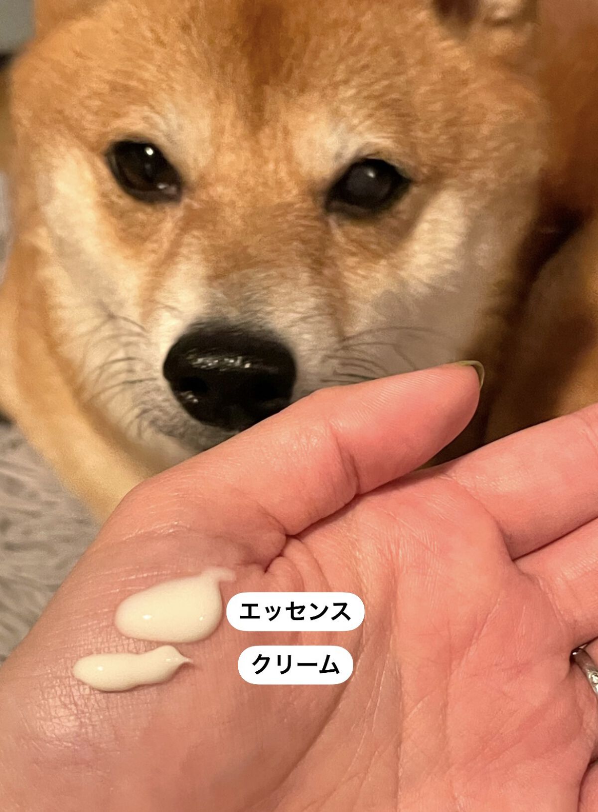 シカレチA エッセンス0.1/VT/美容液を使ったクチコミ（2枚目）