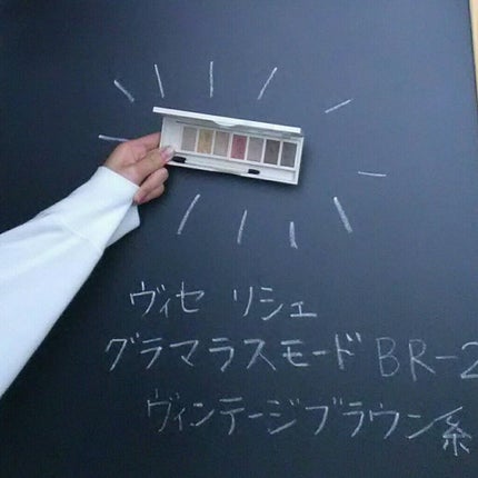リシェ グラマラスモード アイパレット/Visée/アイシャドウパレットを使ったクチコミ(2枚目)