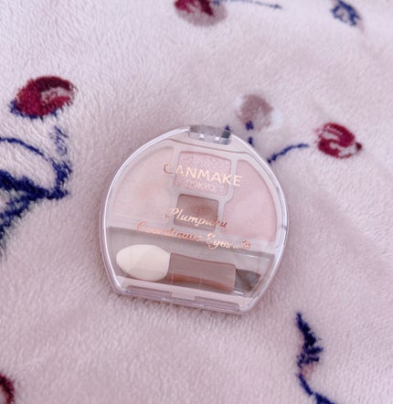 プランぷくコーデアイズNeo/キャンメイク/アイシャドウを使ったクチコミ(1枚目)