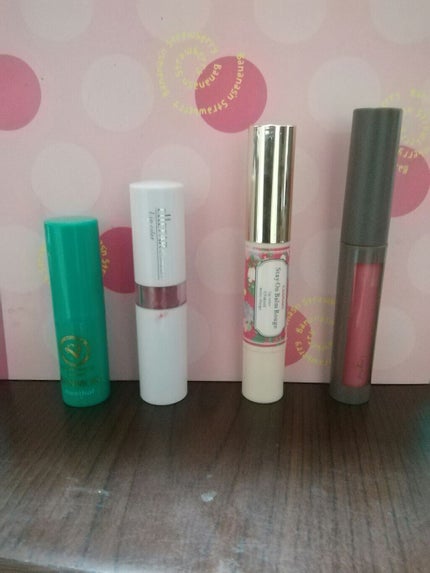 プロフェッショナルリップカラー/エルファー/口紅を使ったクチコミ(1枚目)