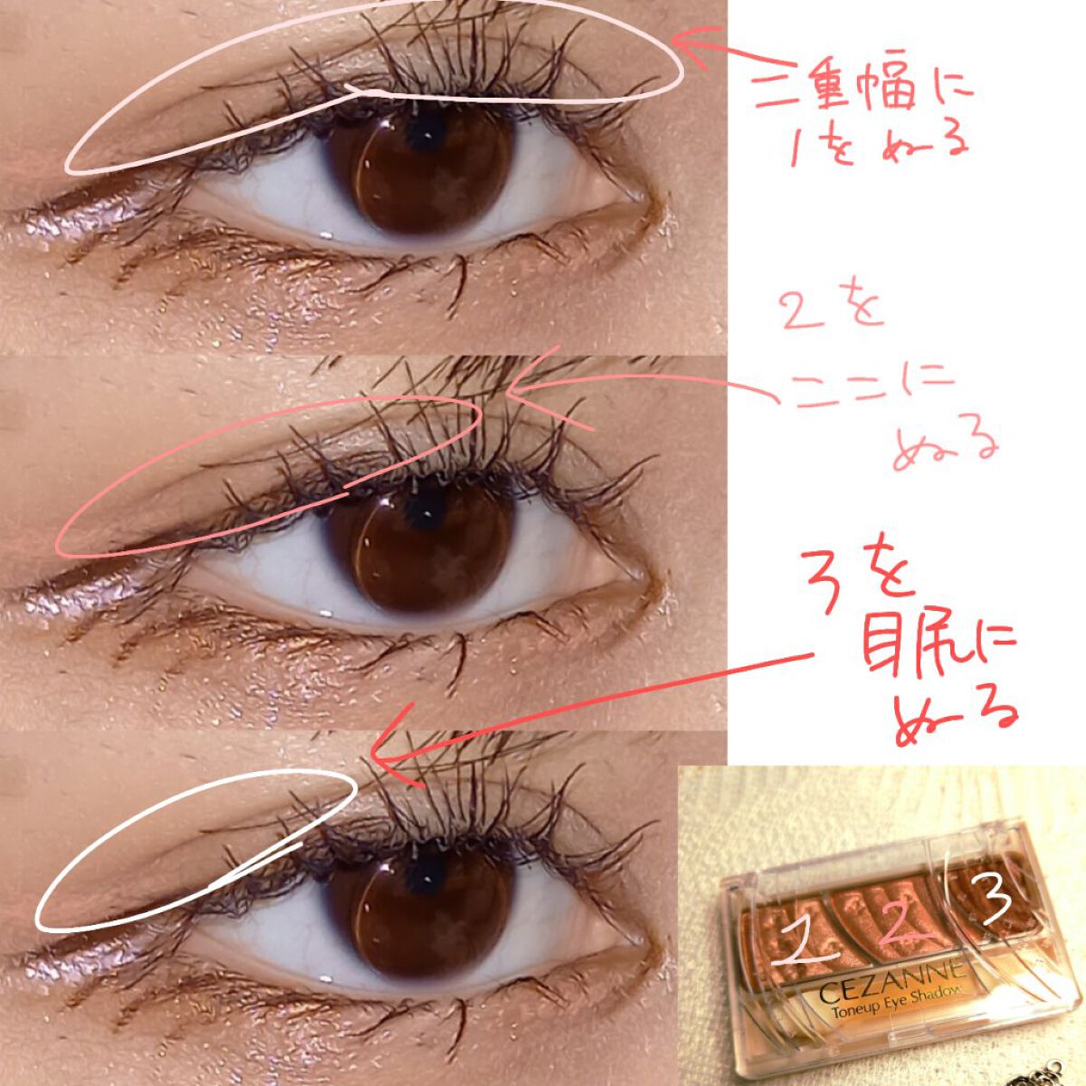 トーンアップアイシャドウ/CEZANNE/アイシャドウパレットを使ったクチコミ（2枚目）