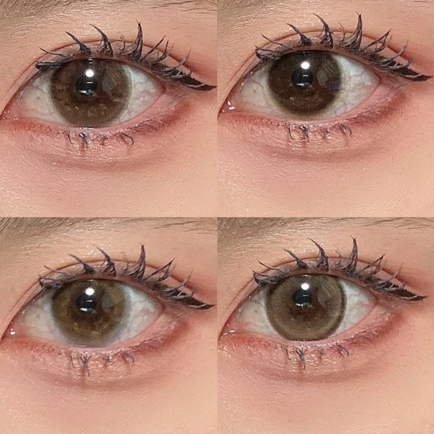 candymagic1day(キャンディーマジックワンデー)/candy magic/ワンデー(1DAY)カラコンを使ったクチコミ(6枚目)