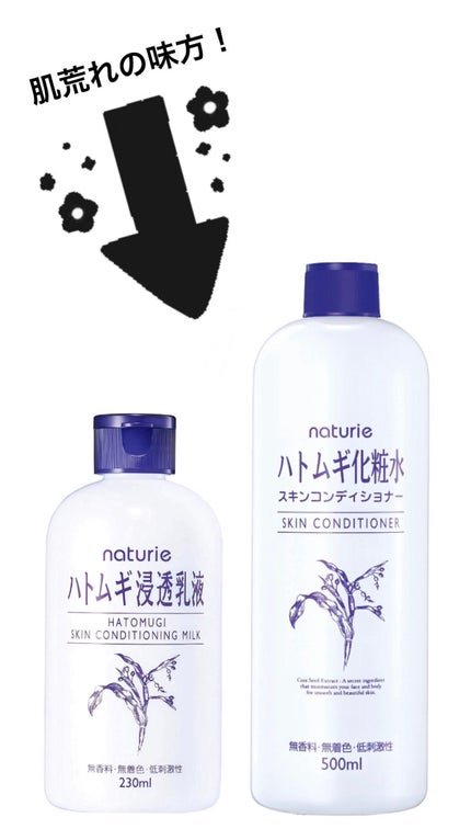 ハトムギ化粧水(ナチュリエ スキンコンディショナー R )/ナチュリエ/化粧水を使ったクチコミ(1枚目)