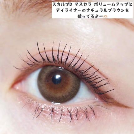 スカルプD アイラッシュセラム プレミアム/アンファー(スカルプD)/まつげ美容液を使ったクチコミ(6枚目)