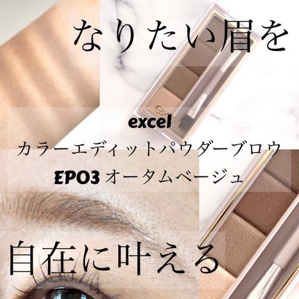 カラーエディットパウダーブロウ/excel/パウダーアイブロウを使ったクチコミ(1枚目)